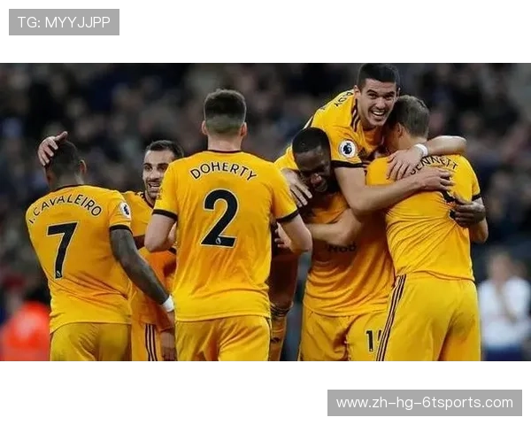 英超的中资球队：中资背景的英超球队及其影响