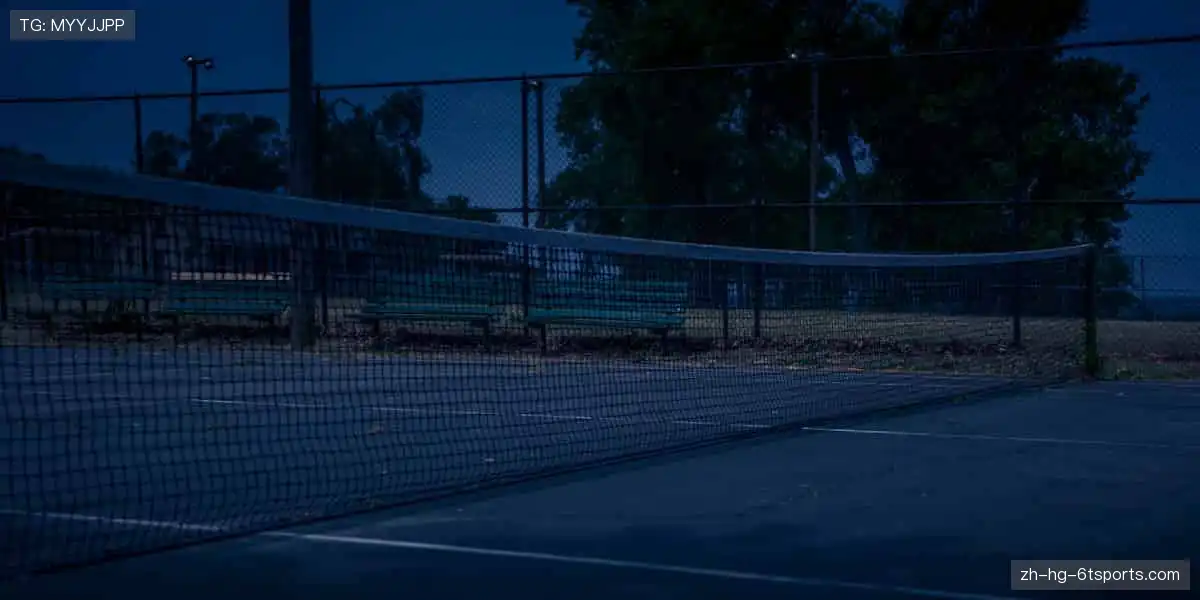 巅峰对决，不容错过！🏆🎾